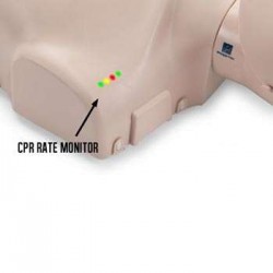 Prestan Göstergeli CPR Manken Seti - Thumbnail