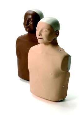 Yetişkin CPR Mankeni